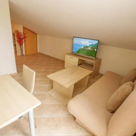Bondi Apartment